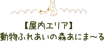 【屋内エリア】動物ふれあいの森あにま~る
