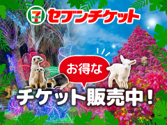  ＼セブンチケット／ 東南植物楽園 入園チケット販売中！